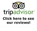 trip advisor logo